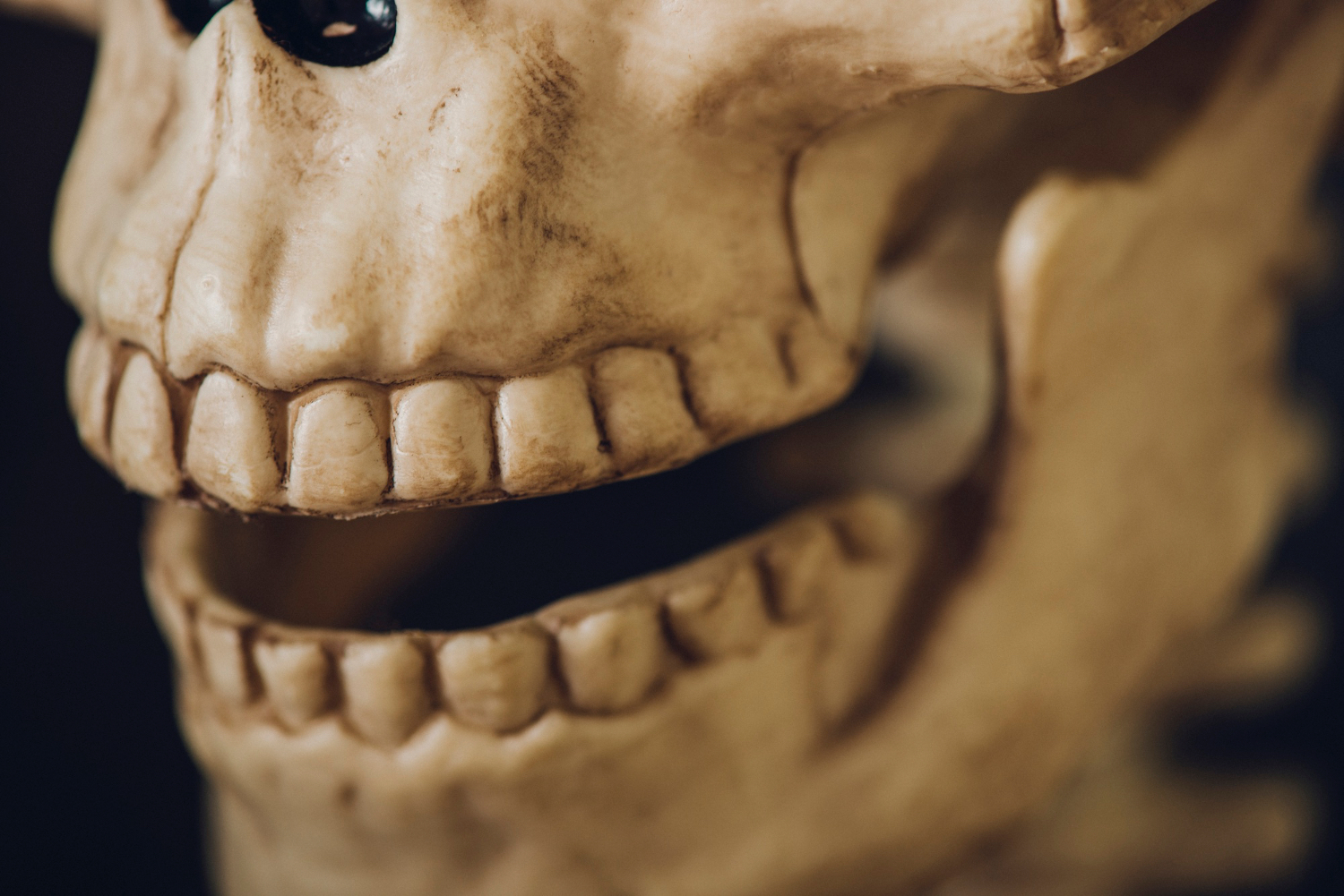 Descubre la inesperada conexión entre el estudio de los fósiles y la odontología digital
